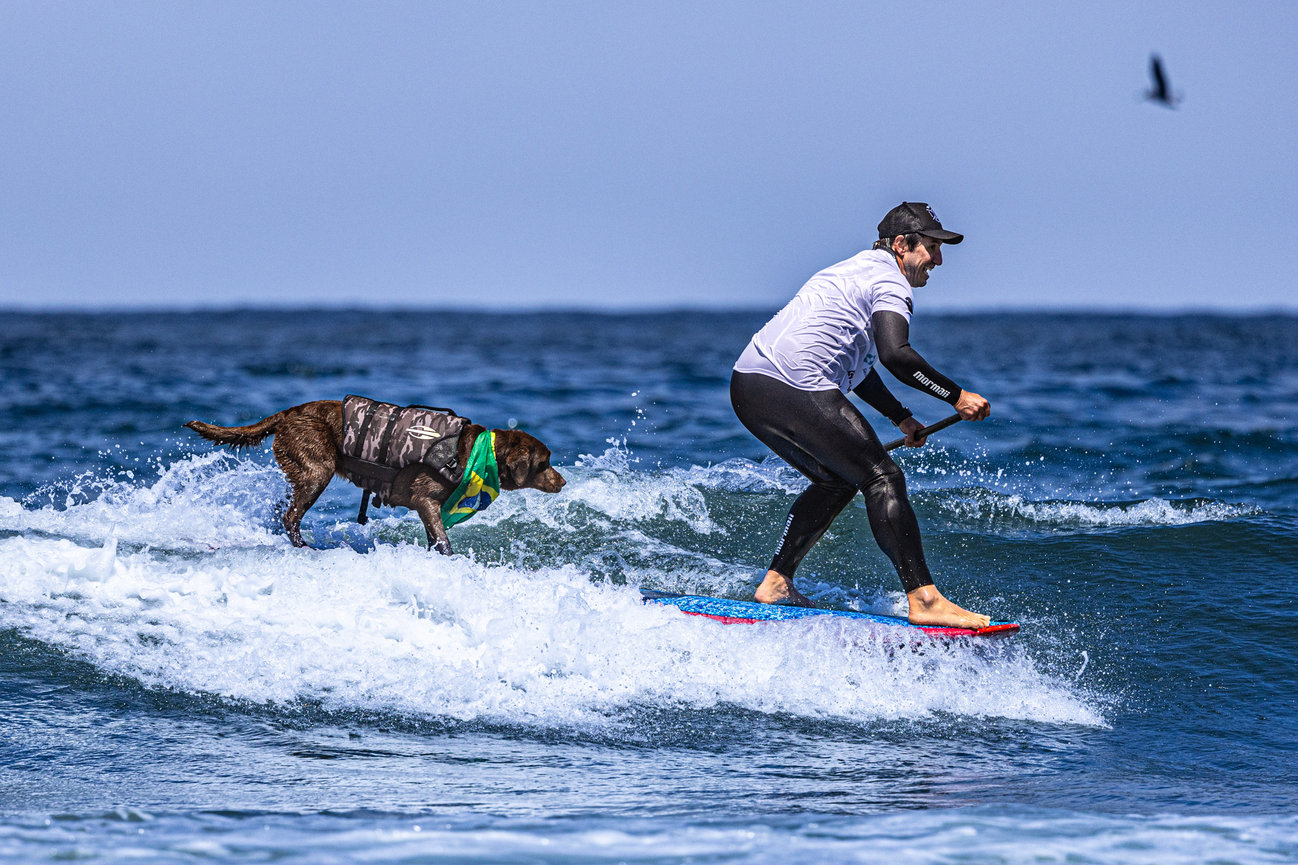 Crédito da foto: Divulgação