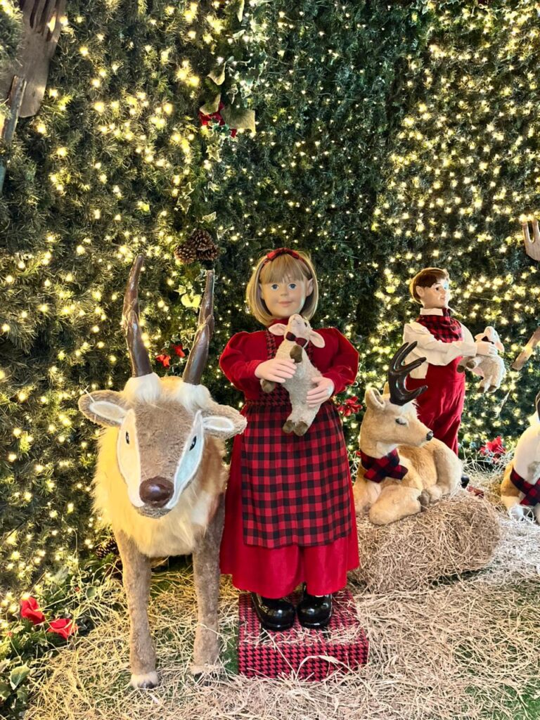 Créditos da foto: Divulgação