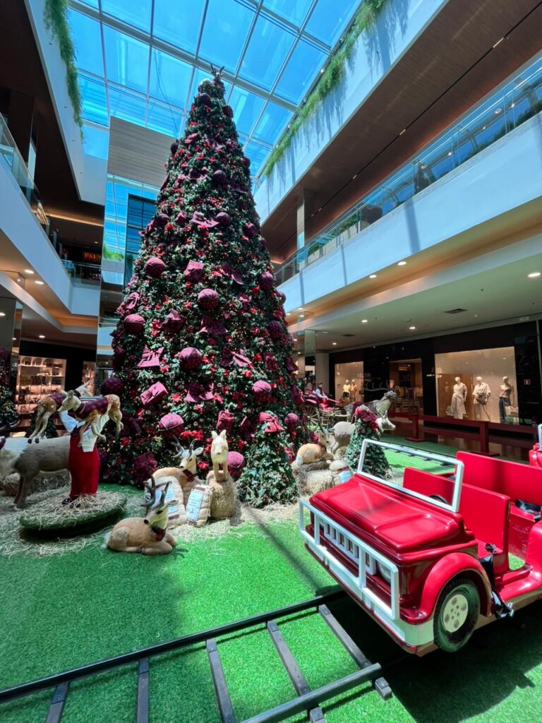 Créditos da foto: Divulgação