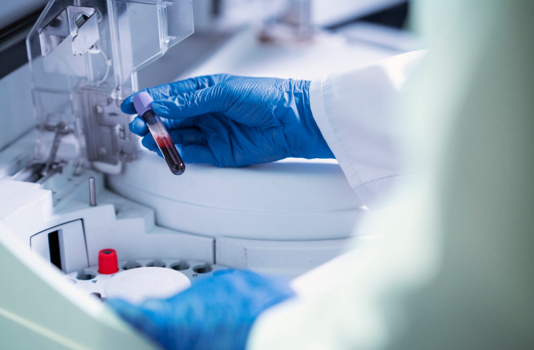 Créditos da foto: Divulgação