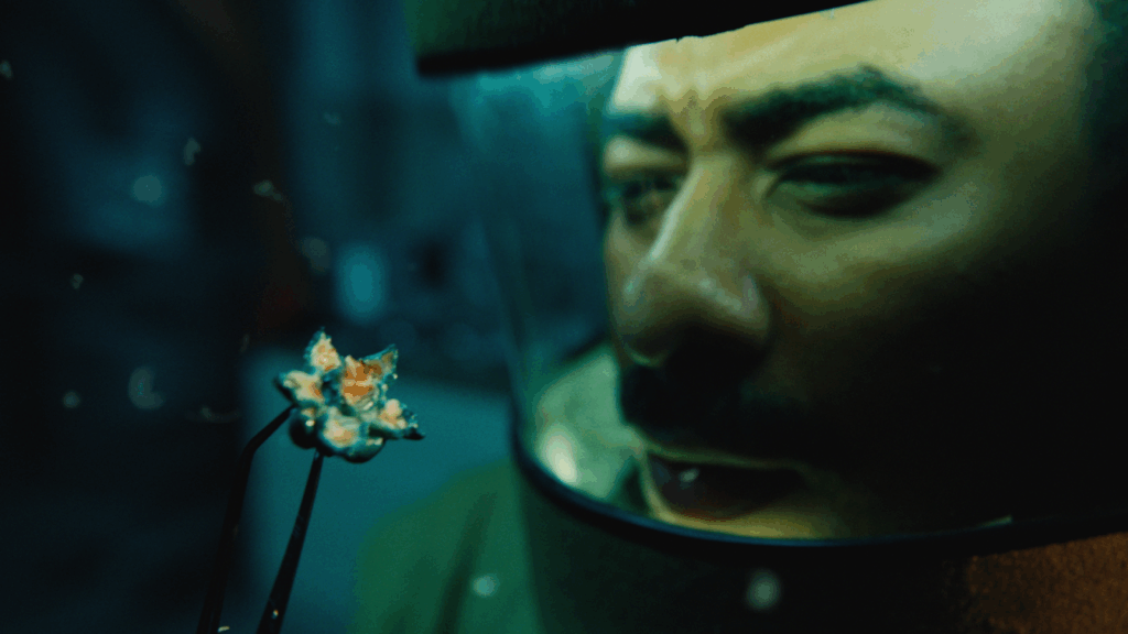 Créditos da foto: Divulgação