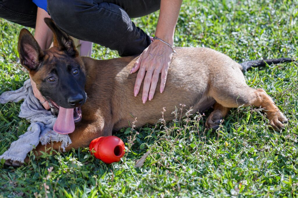 Fotos: Eric Romero/PMSCS