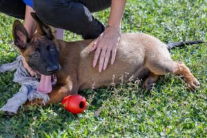 Fotos: Eric Romero/PMSCS