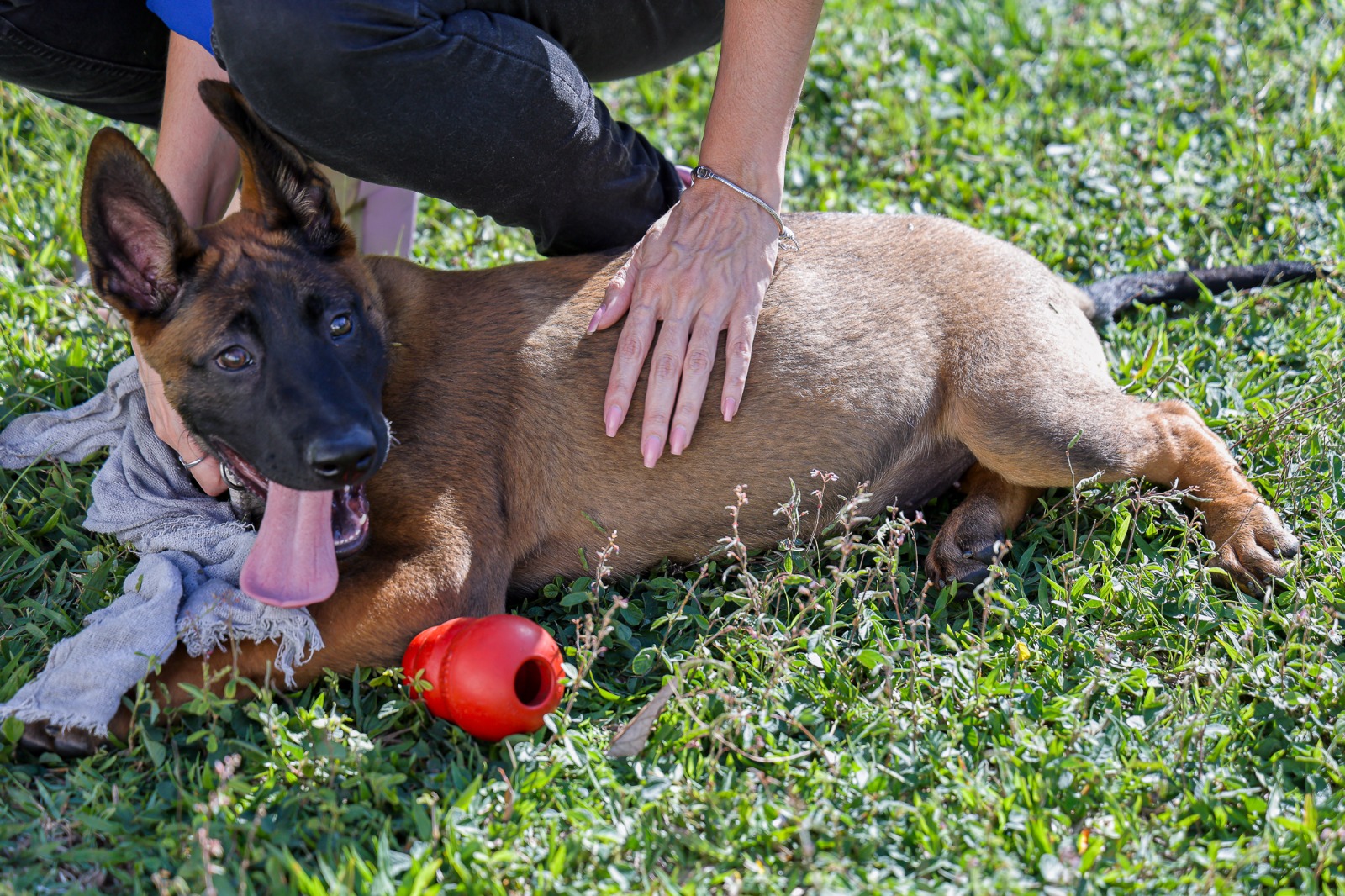 Fotos: Eric Romero/PMSCS