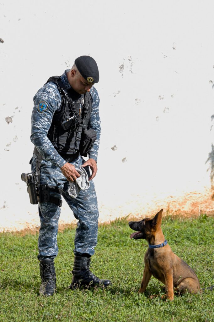 Fotos: Eric Romero/PMSCS