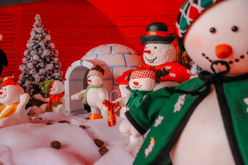 Natal Iluminado - Foto Igor Cotrim PMSBC