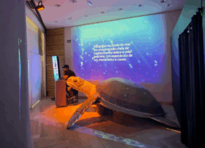 Créditos da foto: Divulgação