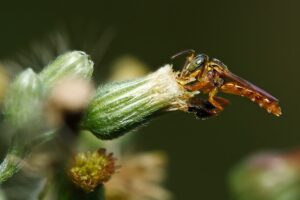 FOTOS: Evando Oliveira e Diego Barros/PMM