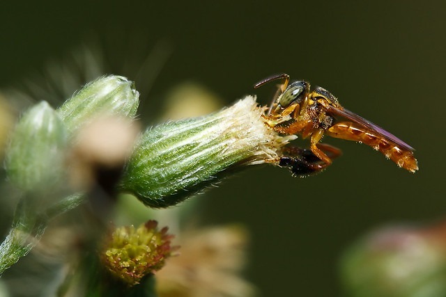 FOTOS: Evando Oliveira e Diego Barros/PMM