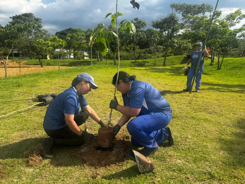 Fotos: Divulgação/Semasa