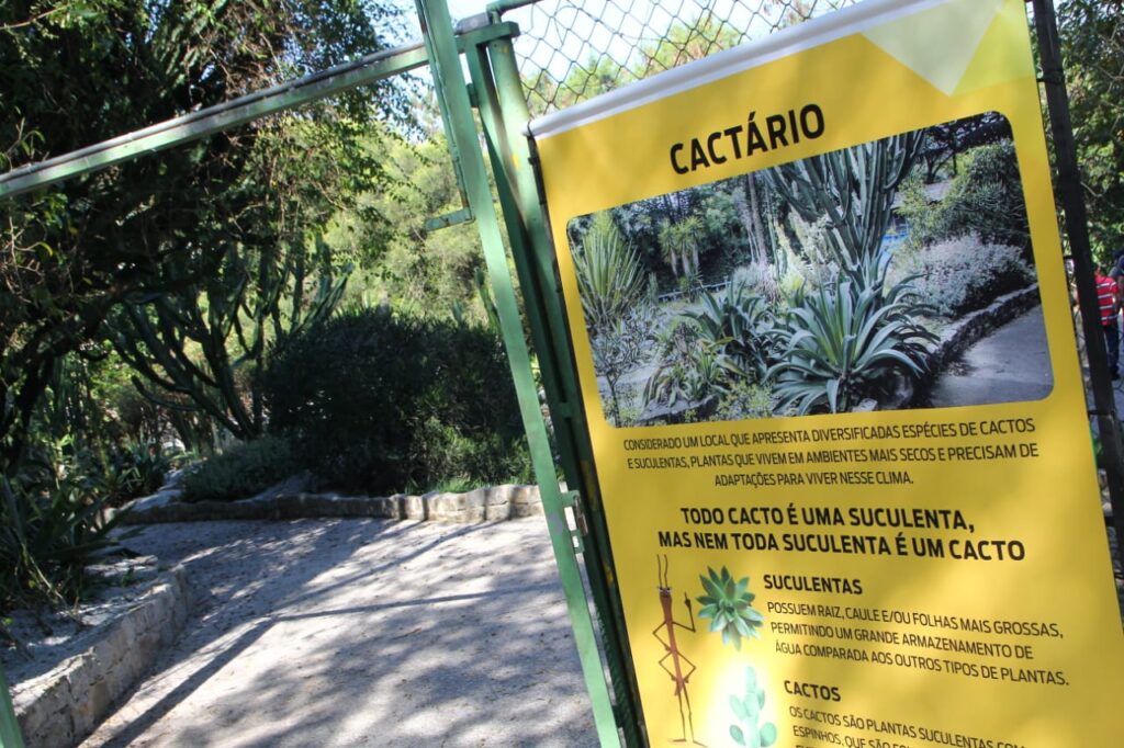 Fotos: Helber Aggio/PSA e Eduardo Merlino/PSA