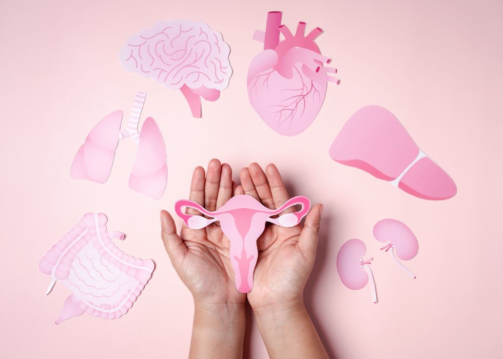 Créditos da foto: Divulgação