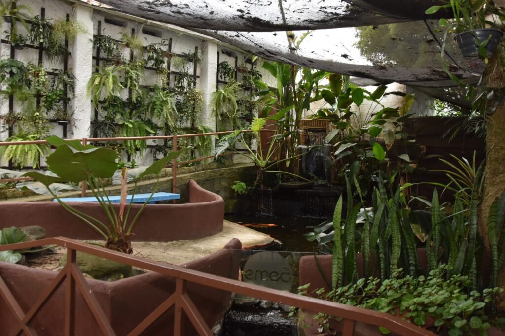 Fotos: Helber Aggio/PSA e Eduardo Merlino/PSA