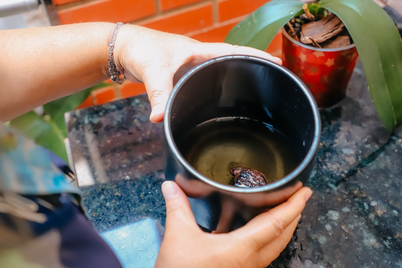 Fotos: Igor Cotrim/PMSBC