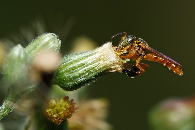Créditos da foto: Divulgação