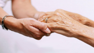 Créditos da foto: Divulgação