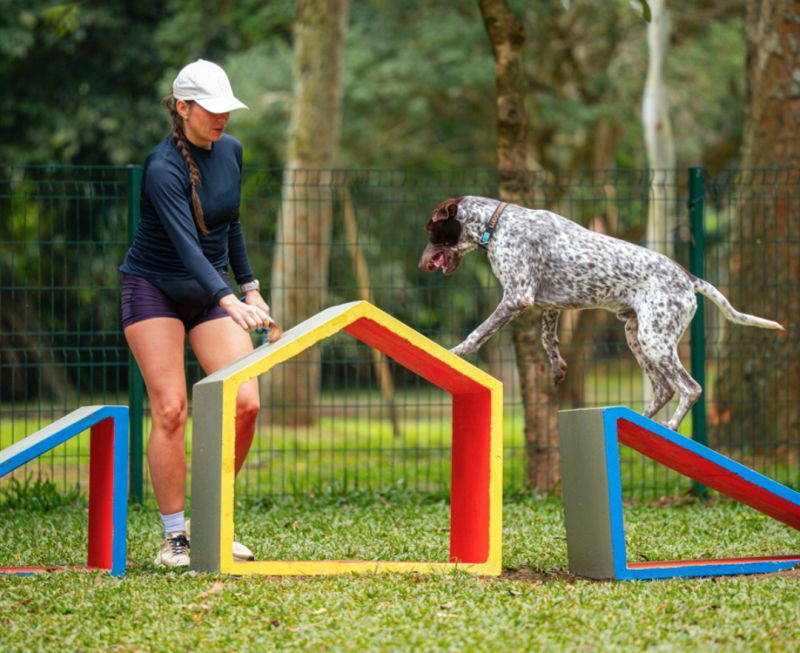 Divulgação Petz Park no Parque Ibirapuera