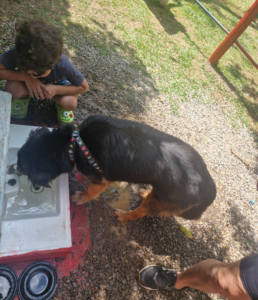 Fotos: Silvia Duarte/PMM